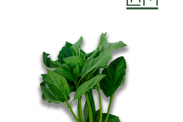 ALBAHACA1_result